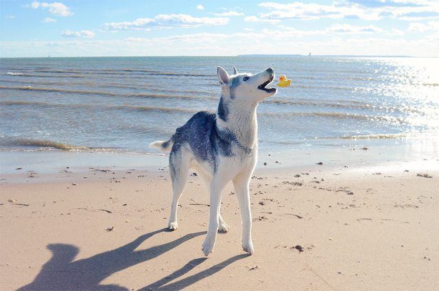 morning picdump 52 pics 19.html - 52 HD Photos | Premium Gallery 2015