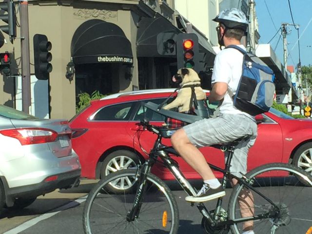 morning picdump 52 pics 19.html - 52 HD Photos | Premium Gallery 2015