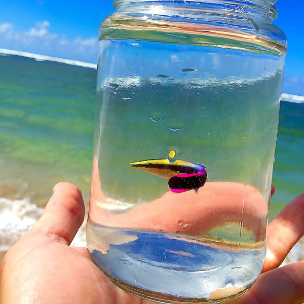 morning picdump 52 pics 19.html - 52 HD Photos | Premium Gallery 2015