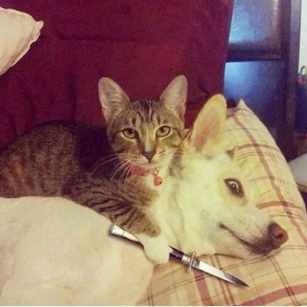 morning picdump 52 pics 19.html - 52 HD Photos | Premium Gallery 2015