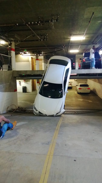 morning picdump 52 pics 19.html - 52 HD Photos | Premium Gallery 2015