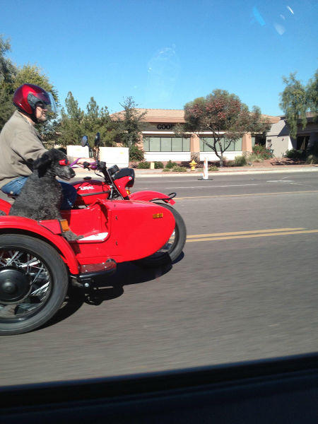 morning picdump 51 pics 14.html - 51 HD Photos | Premium Gallery 2015