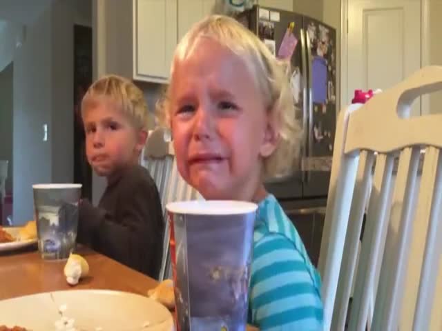 page,33,top 500 videos of the year 2015.html - 1 HD Video | Premium Gallery 2015