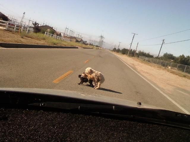 daily picdump 92 pics 78.html - 92 HD Photos | Premium Gallery 2015