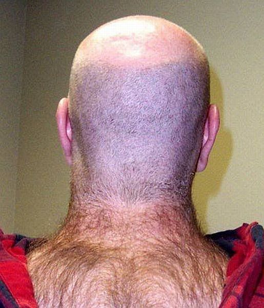 daily picdump 92 pics 78.html - 92 HD Photos | Premium Gallery 2015