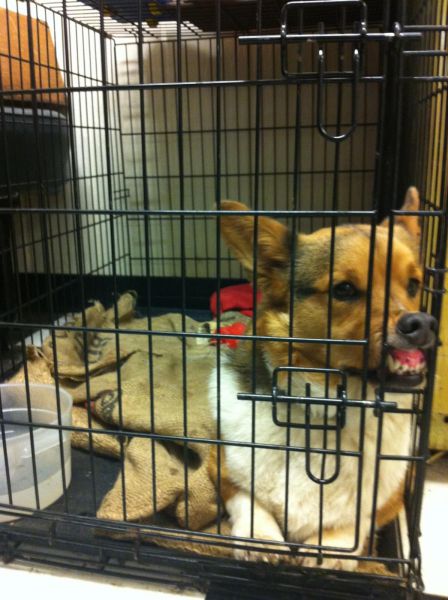 daily picdump 92 pics 78.html - 92 HD Photos | Premium Gallery 2015