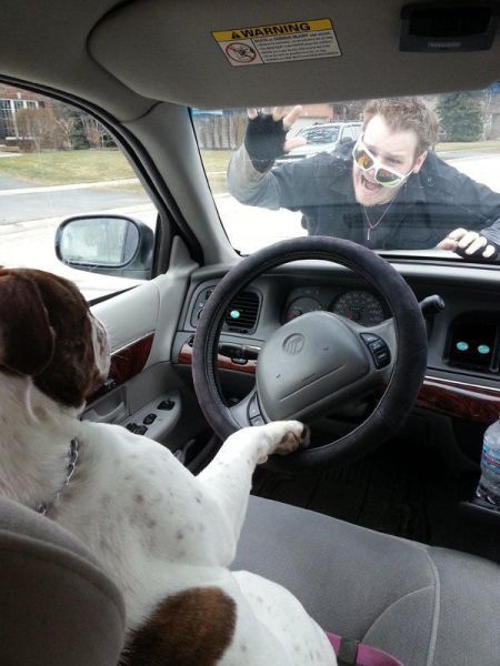 daily picdump 92 pics 78.html - 92 HD Photos | Premium Gallery 2015