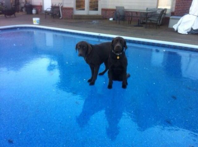 daily picdump 92 pics 78.html - 92 HD Photos | Premium Gallery 2015