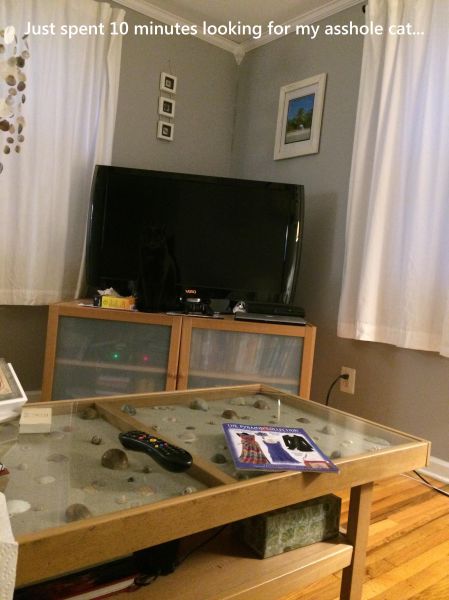 daily picdump 92 pics 78.html - 92 HD Photos | Premium Gallery 2015