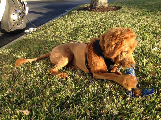 morning picdump 52 pics 21.html - 52 HD Photos | Premium Gallery 2015