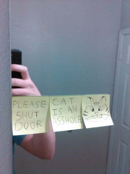 daily picdump 91 pics 14.html - 91 HD Photos | Premium Gallery 2015