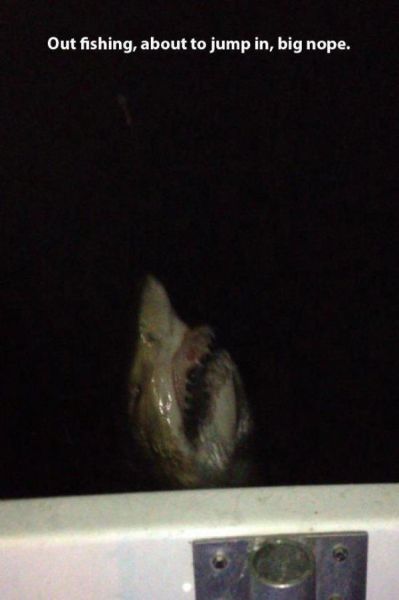 daily picdump 91 pics 14.html - 91 HD Photos | Premium Gallery 2015