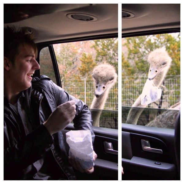 daily picdump 91 pics 14.html - 91 HD Photos | Premium Gallery 2015