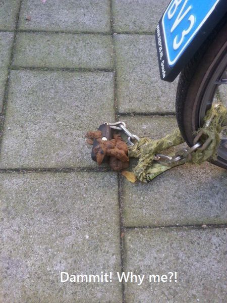 daily picdump 91 pics 14.html - 91 HD Photos | Premium Gallery 2015