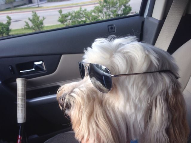 morning picdump 54 pics 13.html - 54 HD Photos | Premium Gallery 2015