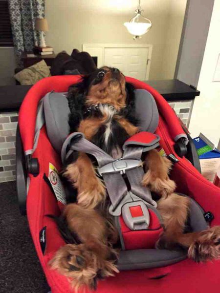 morning picdump 54 pics 13.html - 54 HD Photos | Premium Gallery 2015