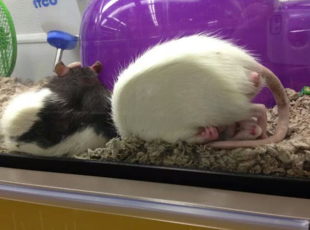 morning picdump 52 pics 7.html - 52 HD Photos | Premium Gallery 2015