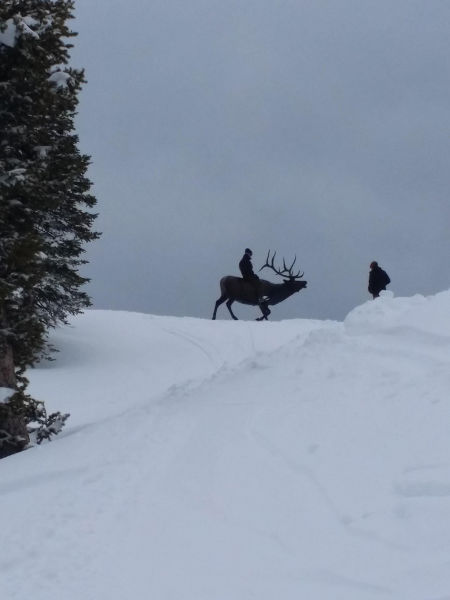 morning picdump 52 pics 7.html - 52 HD Photos | Premium Gallery 2015