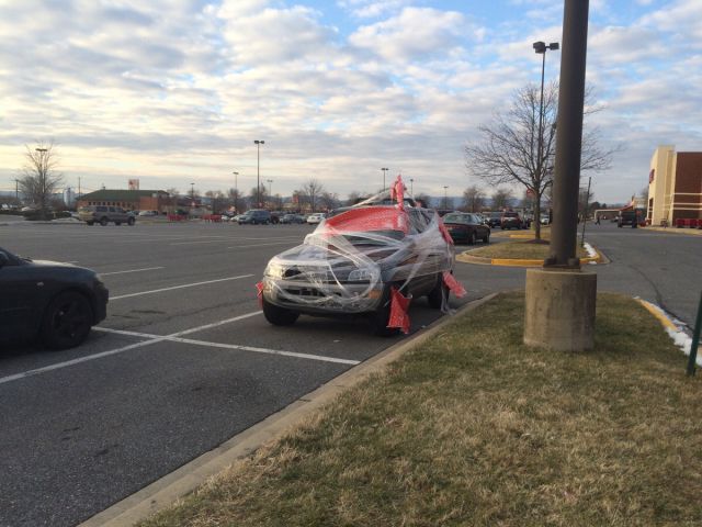 morning picdump 54 pics 4.html - 54 HD Photos | Premium Gallery 2015