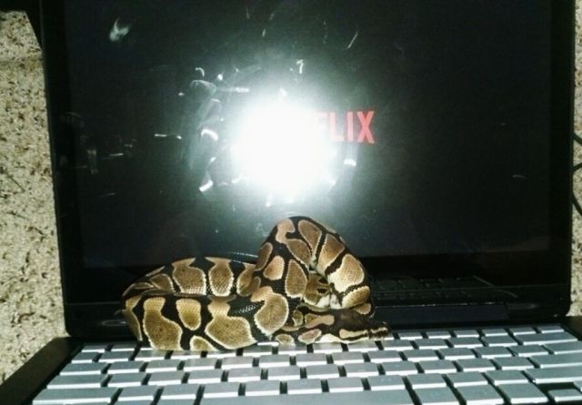 morning picdump 54 pics 4.html - 54 HD Photos | Premium Gallery 2015