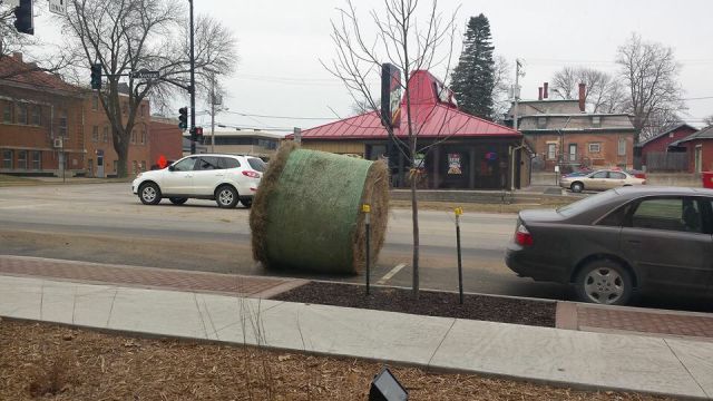 morning picdump 54 pics 4.html - 54 HD Photos | Premium Gallery 2015