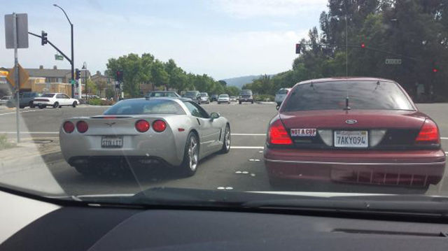 Hilarious Bumper Stickers