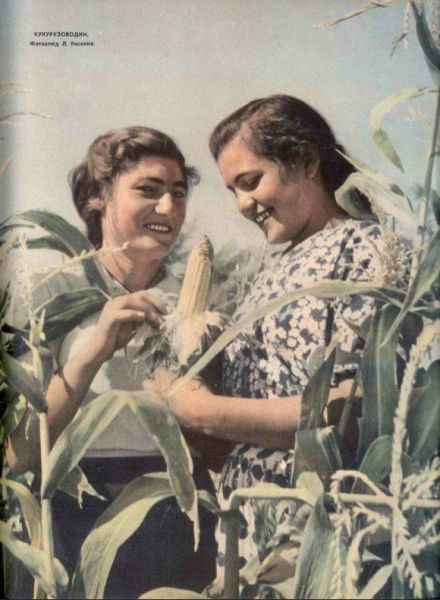 daily picdump 98 pics 1.html - 98 HD Photos | Premium Gallery 2015