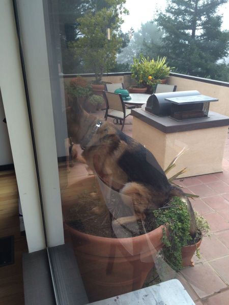 daily picdump 98 pics 1.html - 98 HD Photos | Premium Gallery 2015