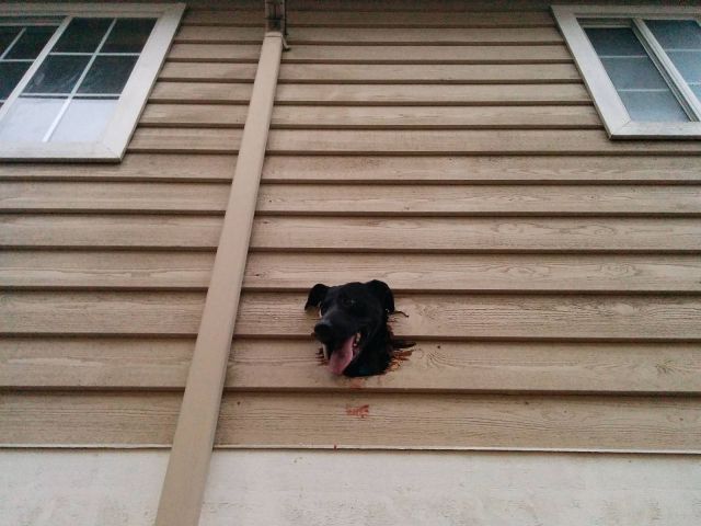 daily picdump 98 pics 1.html - 98 HD Photos | Premium Gallery 2015