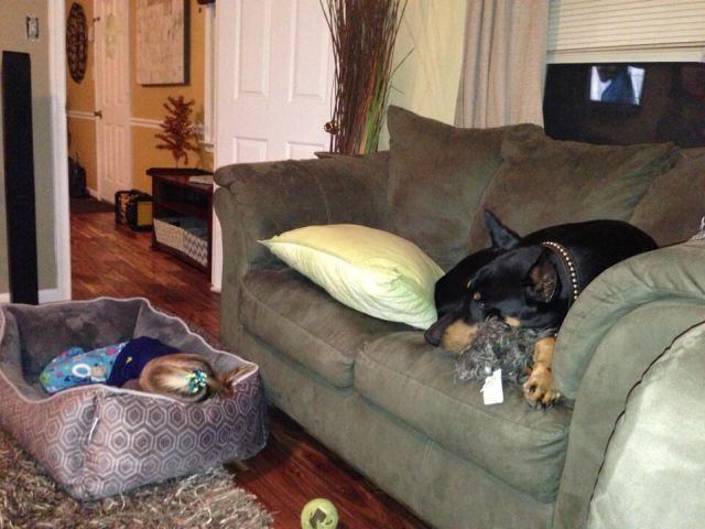 morning picdump 54 pics 19.html - 54 HD Photos | Premium Gallery 2015