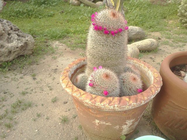 morning picdump 54 pics 3.html - 54 HD Photos | Premium Gallery 2015