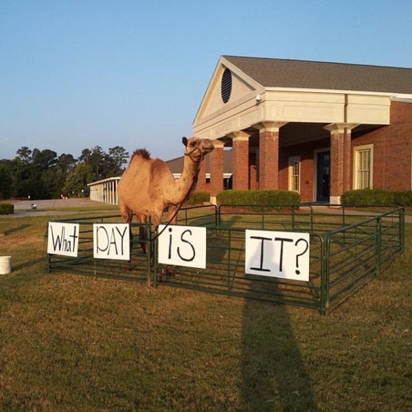 morning picdump 54 pics 3.html - 54 HD Photos | Premium Gallery 2015