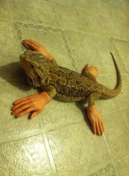 morning picdump 54 pics 3.html - 54 HD Photos | Premium Gallery 2015