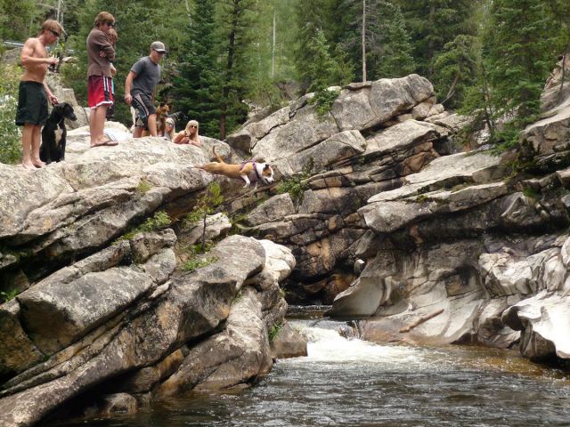 morning picdump 54 pics 3.html - 54 HD Photos | Premium Gallery 2015