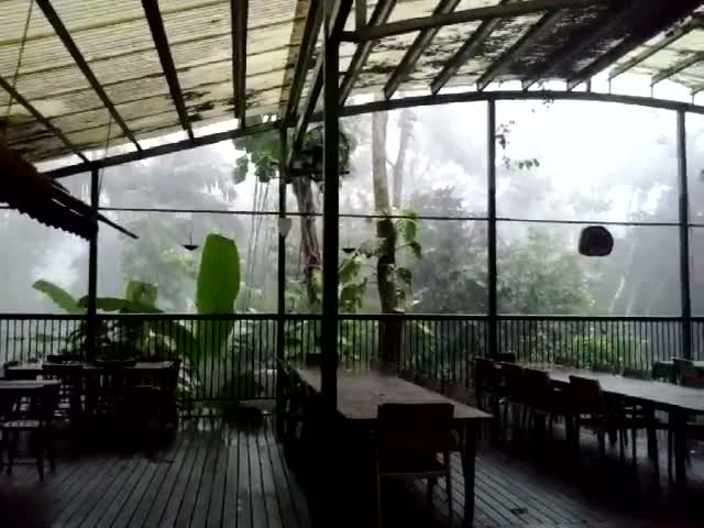 page,20,top 500 videos of the year 2015.html - 1 HD Video | Premium Gallery 2015