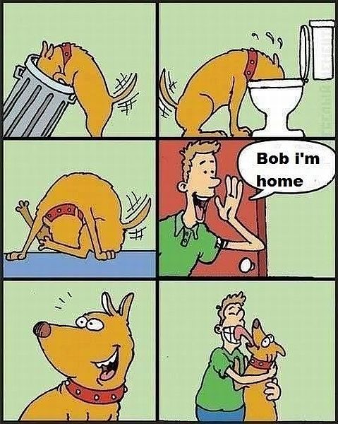 page,15,top 450 funny pics of the year 2015.html - 1 HD Photos | Premium Gallery 2015