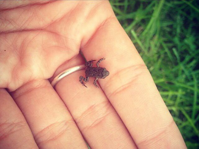 morning picdump 52 pics 13.html - 52 HD Photos | Premium Gallery 2015