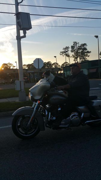 morning picdump 52 pics 13.html - 52 HD Photos | Premium Gallery 2015