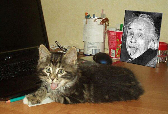 Life Is Full of Funny Coincidences