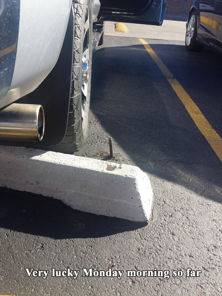 morning picdump 54 pics 17.html - 54 HD Photos | Premium Gallery 2015