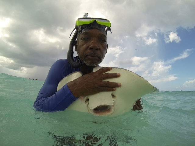 morning picdump 54 pics 17.html - 54 HD Photos | Premium Gallery 2015