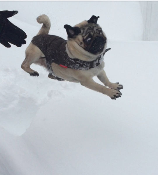 morning picdump 53 pics 24.html - 53 HD Photos | Premium Gallery 2015