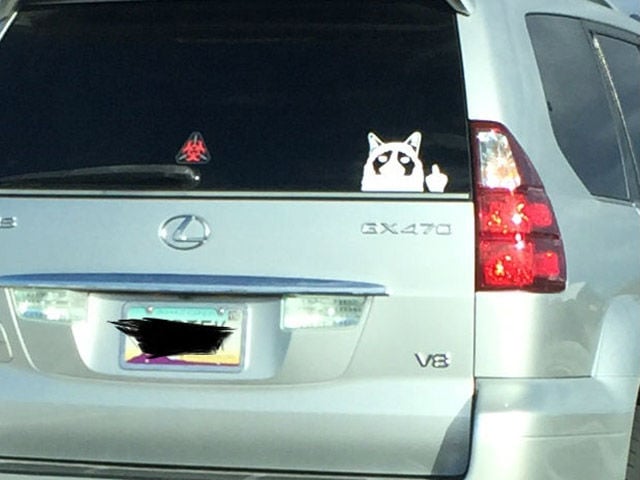 morning picdump 53 pics 24.html - 53 HD Photos | Premium Gallery 2015