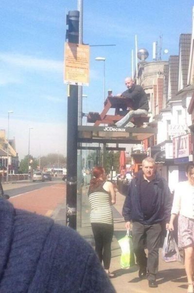 daily picdump 91 pics 37.html - 91 HD Photos | Premium Gallery 2015