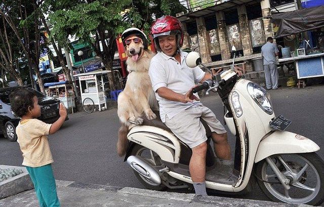 daily picdump 91 pics 37.html - 91 HD Photos | Premium Gallery 2015