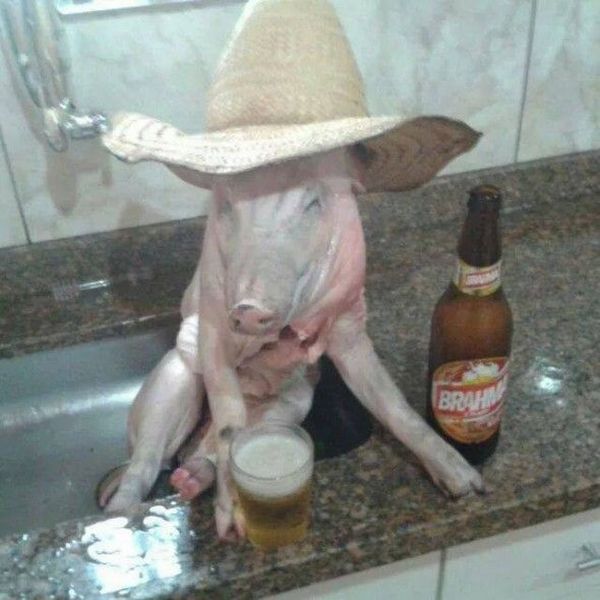 daily picdump 91 pics 37.html - 91 HD Photos | Premium Gallery 2015