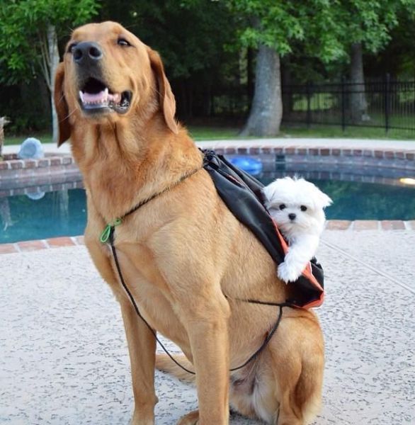 daily picdump 91 pics 37.html - 91 HD Photos | Premium Gallery 2015