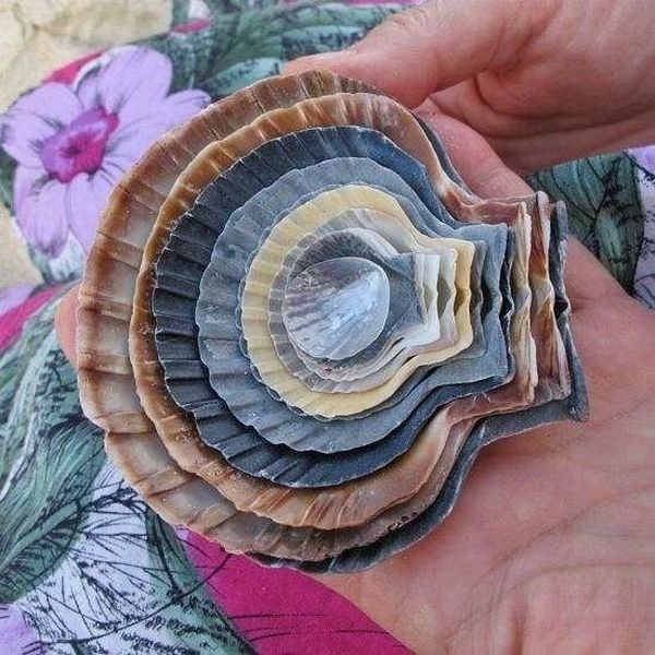 daily picdump 91 pics 37.html - 91 HD Photos | Premium Gallery 2015