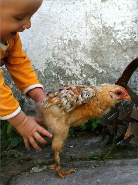 daily picdump 91 pics 37.html - 91 HD Photos | Premium Gallery 2015