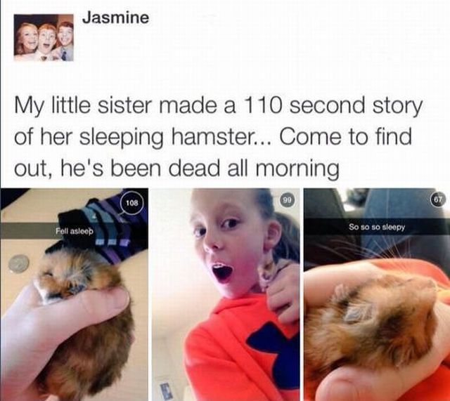 daily picdump 91 pics 37.html - 91 HD Photos | Premium Gallery 2015